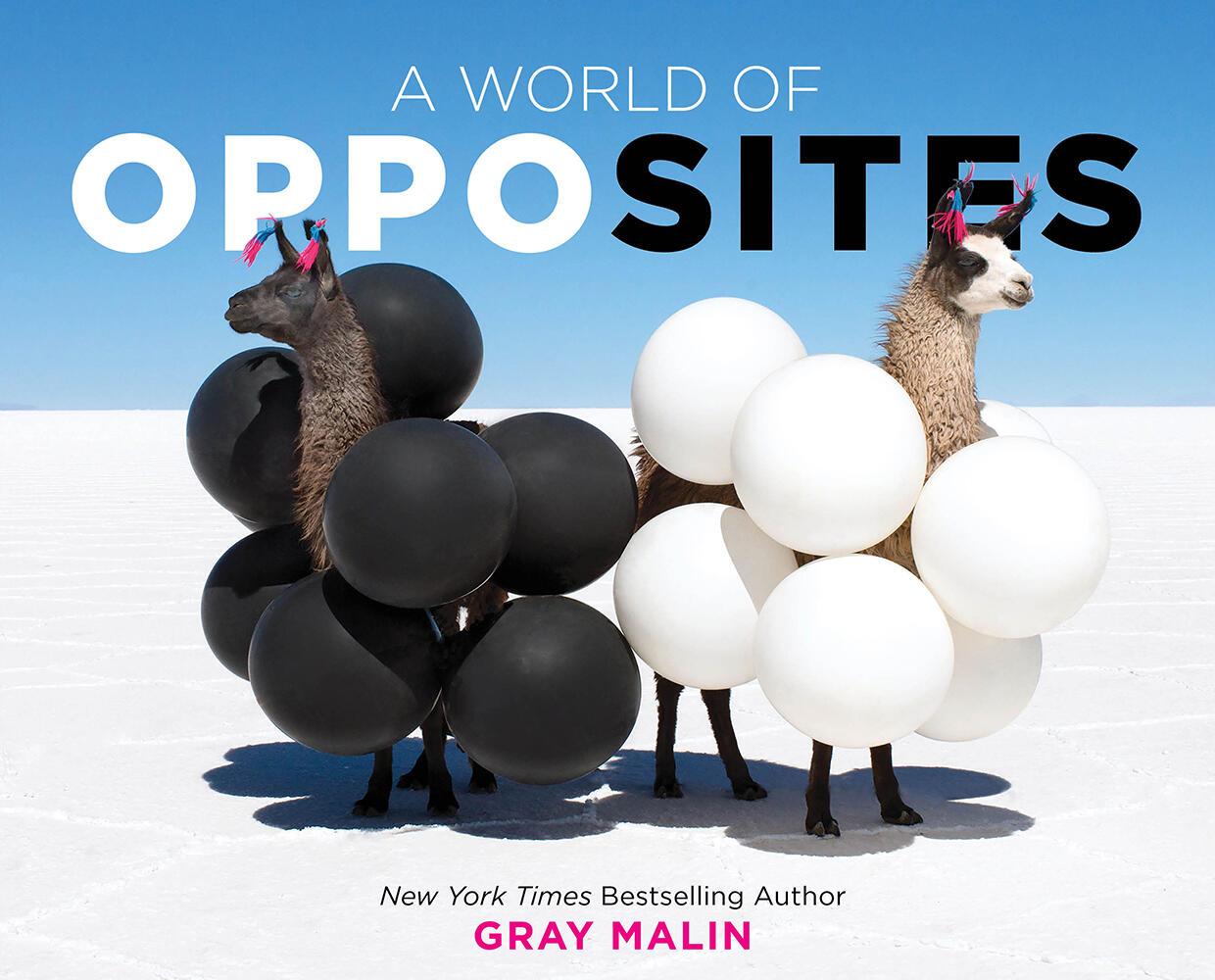 Vorderes Coverbild A World of Opposites