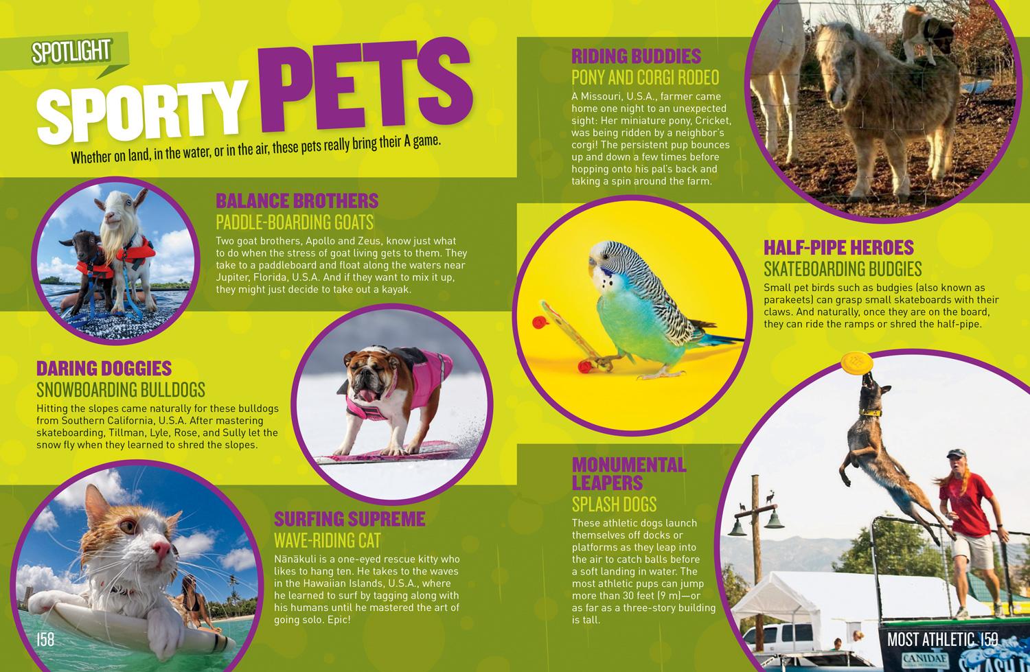 Beispielinhalt (Bild) National Geographic Kids Pet Records