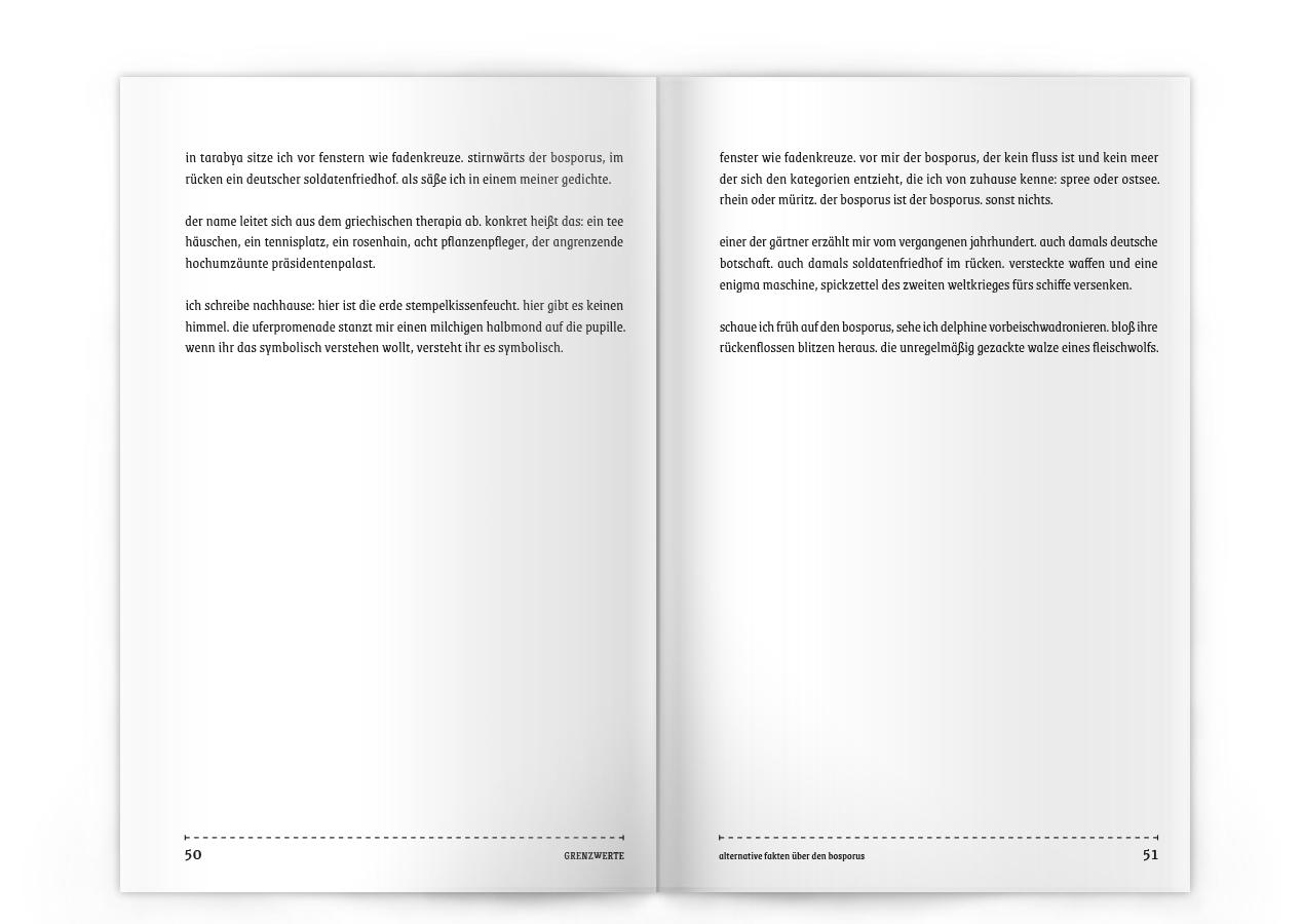 Beispielinhalt (Bild) Grenzwerte