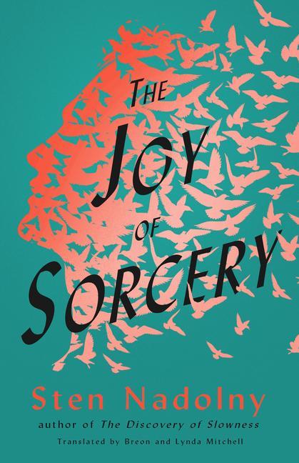 Vorderes Coverbild The Joy of Sorcery