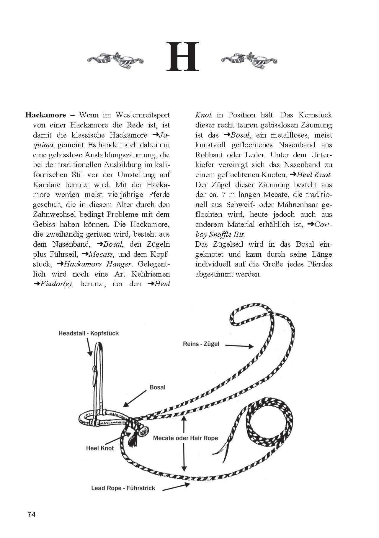Beispielinhalt (Bild) Lexikon Westernreiten