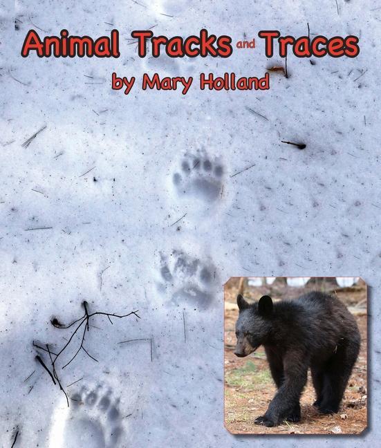 Vorderes Coverbild Animal Tracks & Traces