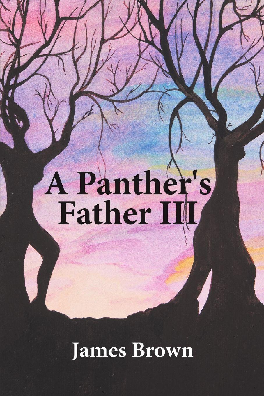 Vorderes Coverbild A Panther's Father III