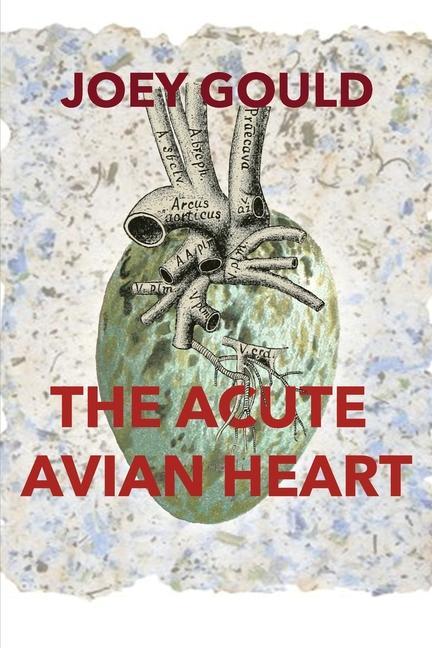 Vorderes Coverbild The Acute Avian Heart