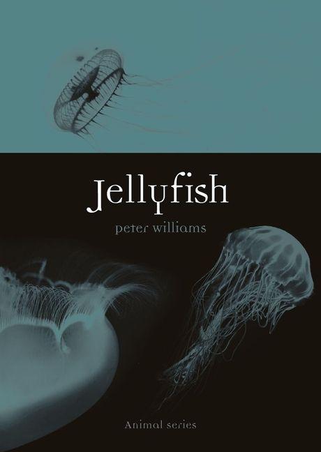 Vorderes Coverbild Jellyfish
