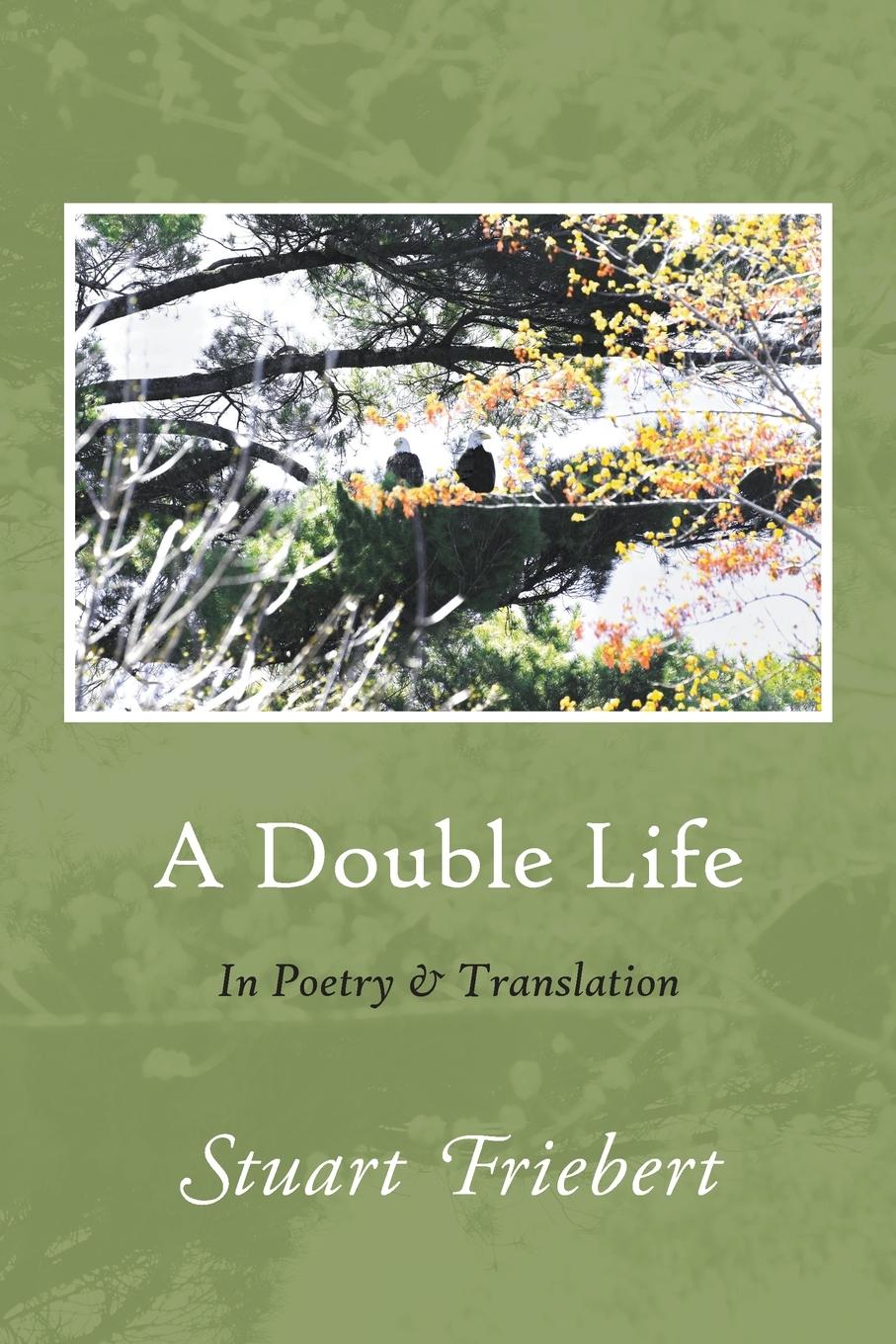 Vorderes Coverbild A Double Life