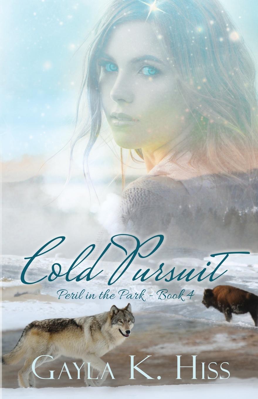 Vorderes Coverbild Cold Pursuit