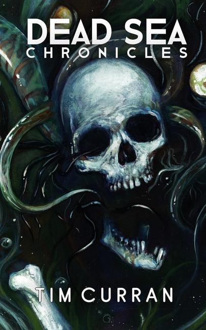 Vorderes Coverbild Dead Sea Chronicles