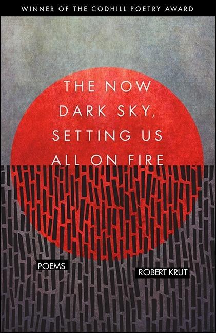 Vorderes Coverbild The Now Dark Sky, Setting Us All on Fire