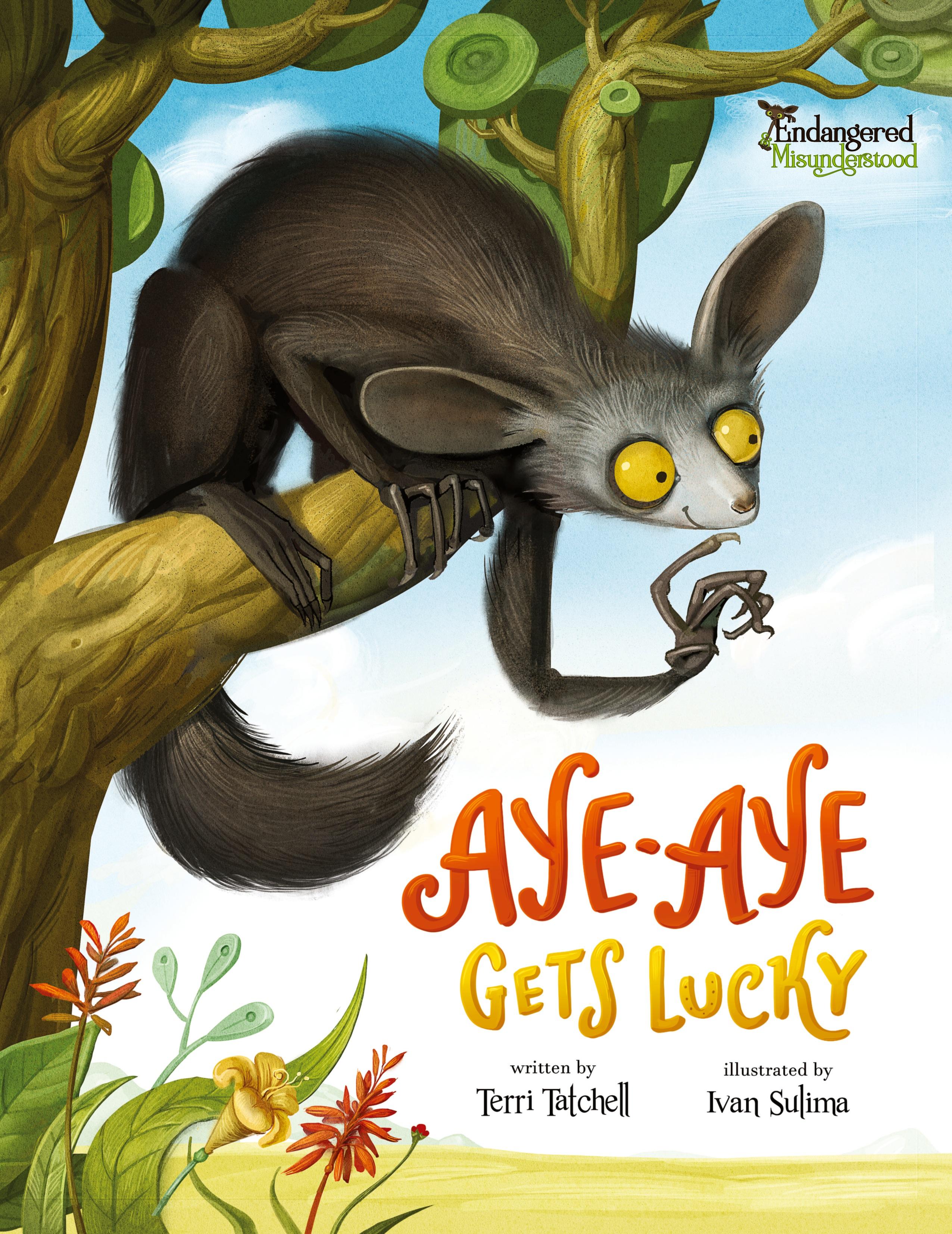 Vorderes Coverbild Aye-Aye Gets Lucky