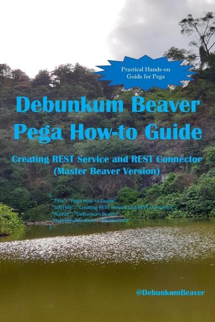 Vorderes Coverbild Debunkum Beaver Pega How-to Guide