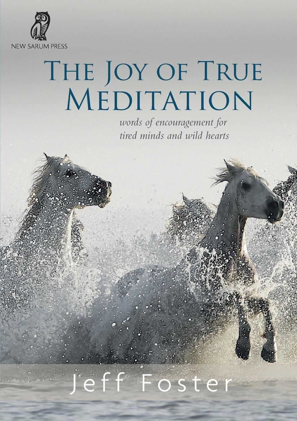 Vorderes Coverbild The joy of True Meditation