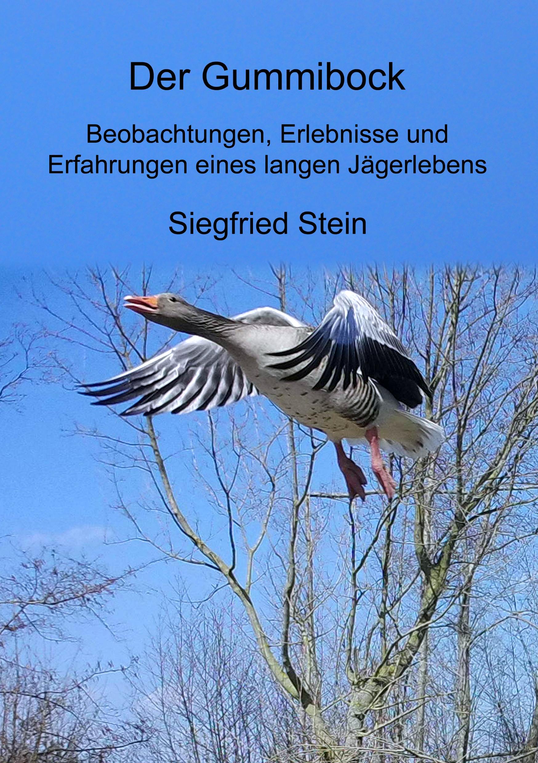Vorderes Coverbild Der Gummibock