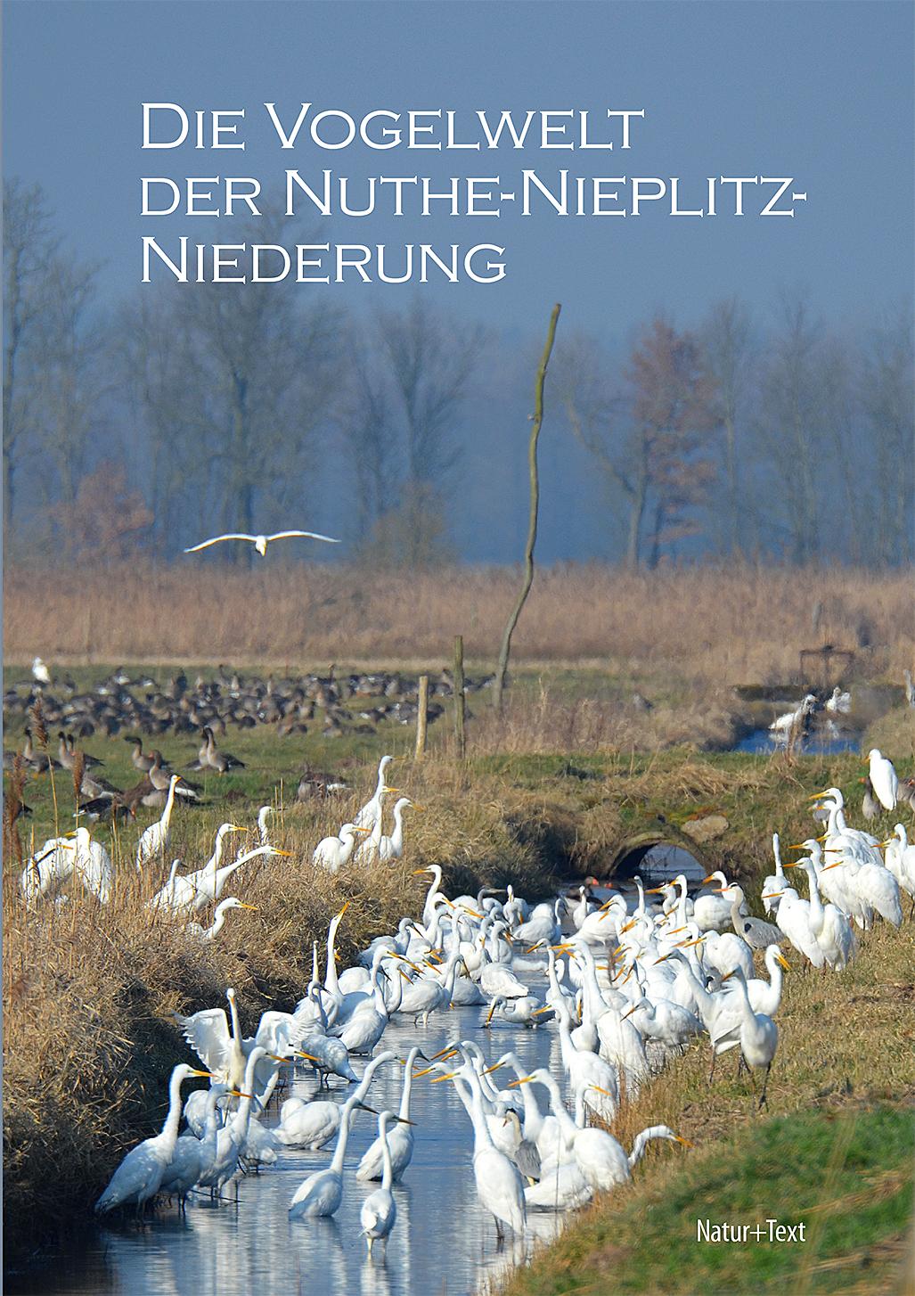 Vorderes Coverbild Die Vogelwelt der Nuthe-Nieplitz-Niederung