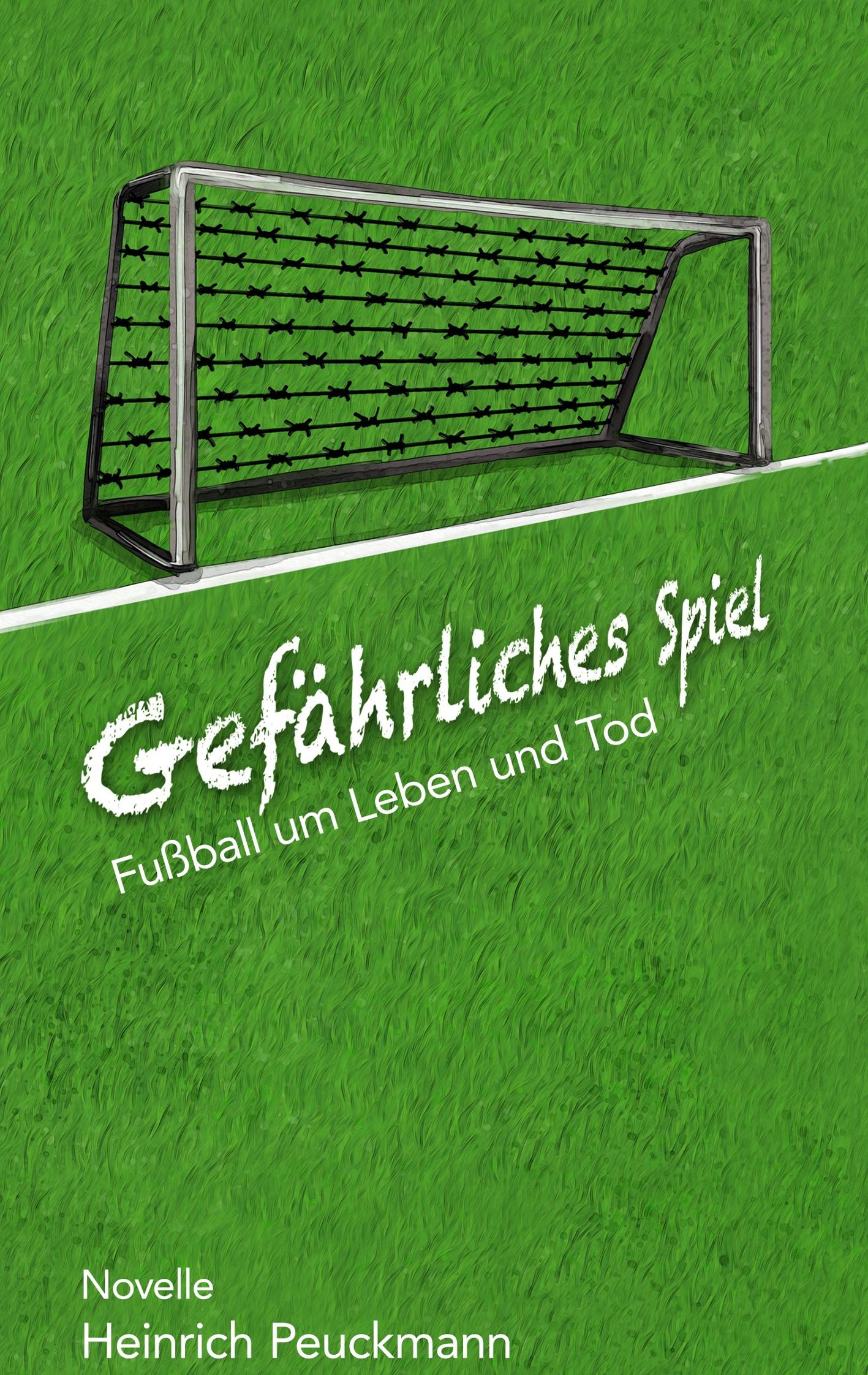 Vorderes Coverbild Gefährliches Spiel