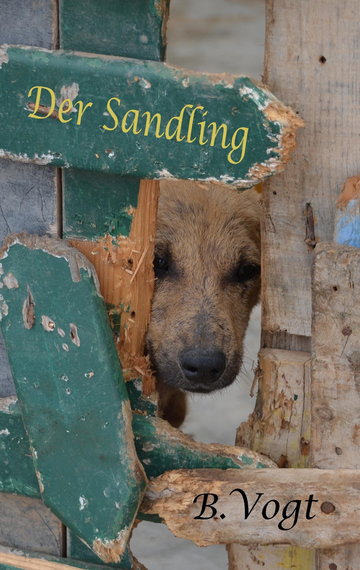 Vorderes Coverbild Der Sandling