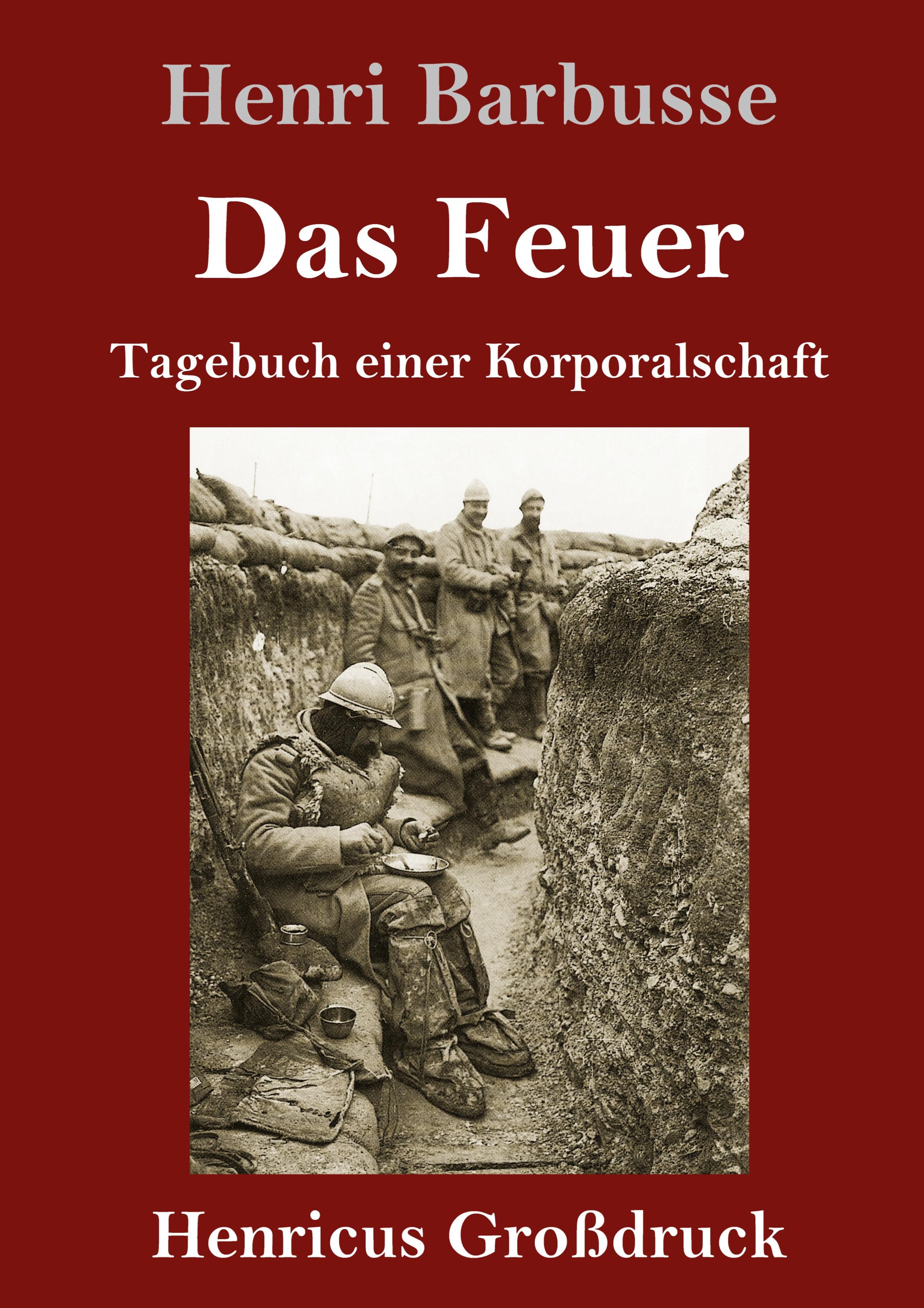 Vorderes Coverbild Das Feuer (Großdruck)
