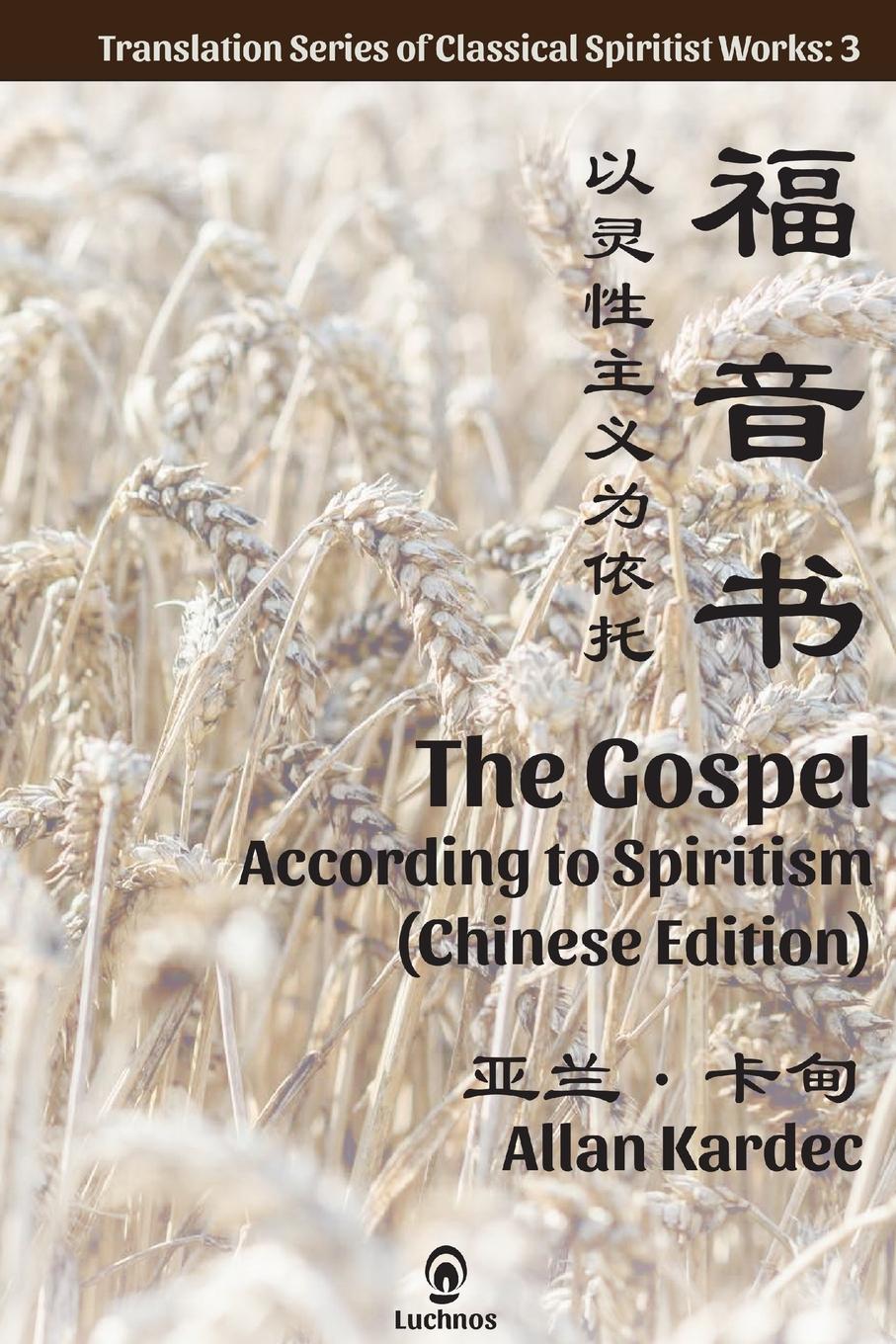 Vorderes Coverbild The Gospel According to Spiritism (Chinese Edition)