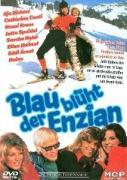 Vorderes Coverbild Blau blüht der Enzian