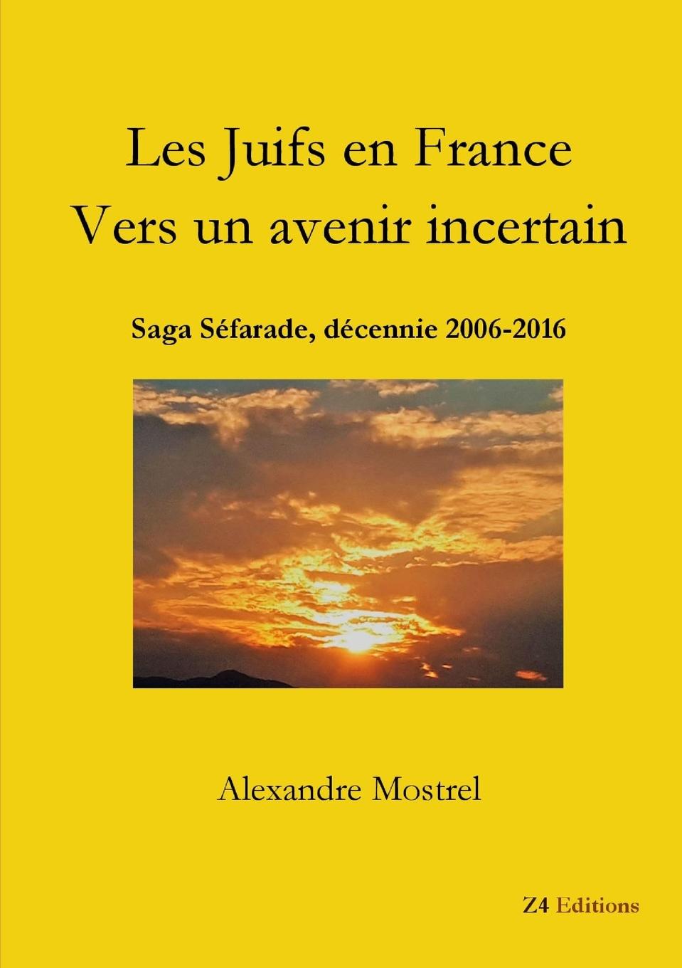 Vorderes Coverbild Les Juifs en France Vers un avenir incertain