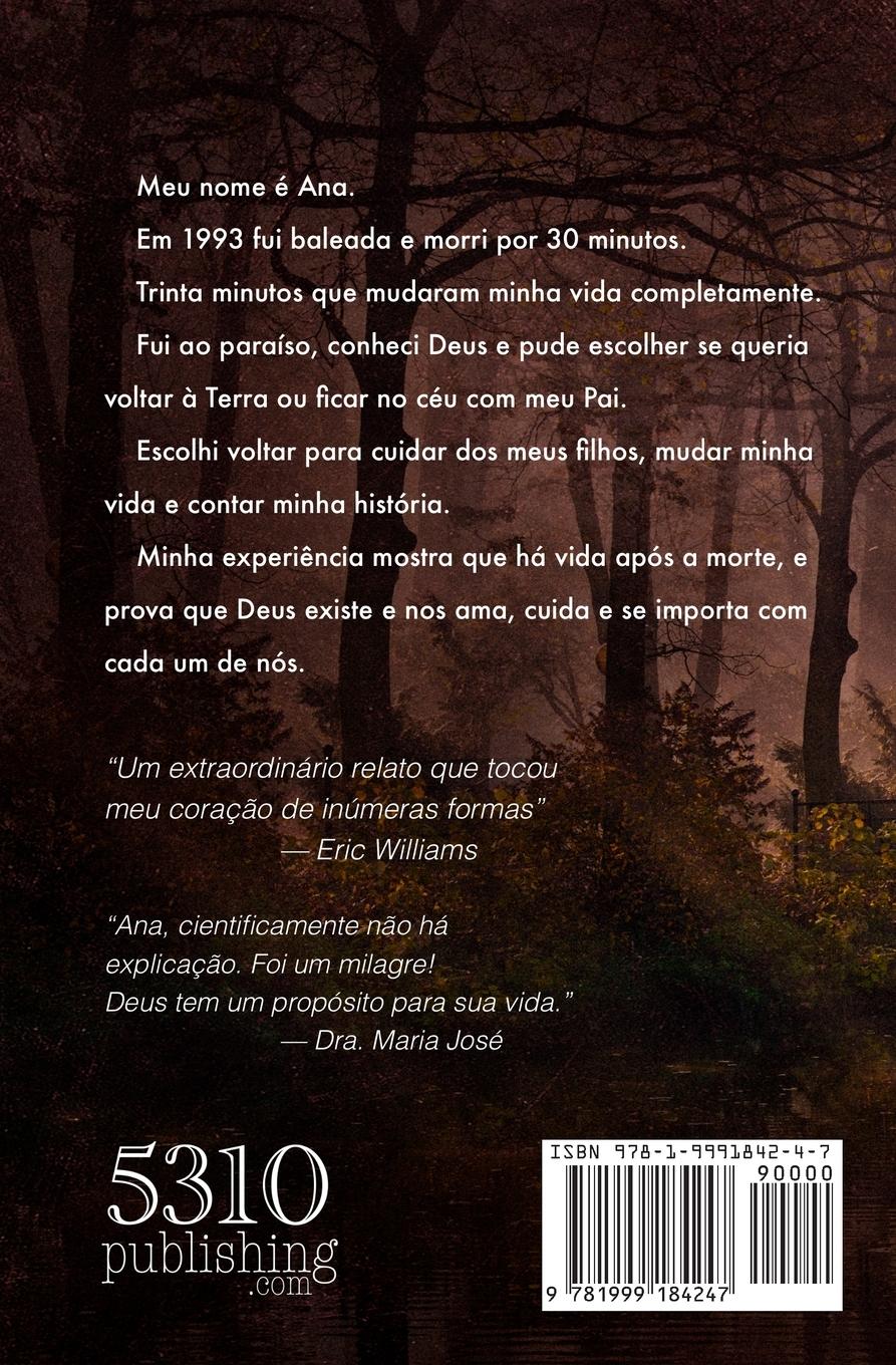 Rückseitencover A Ponte Que Eu Não Atravessei