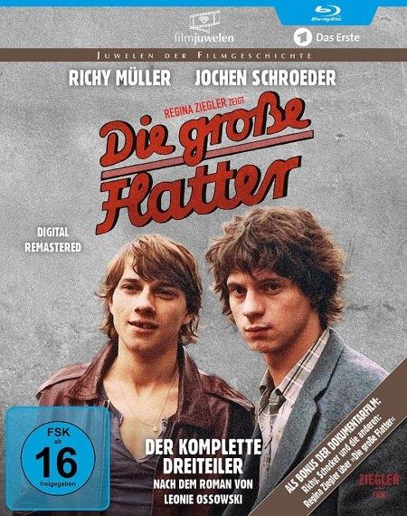 Vorderes Coverbild Die große Flatter