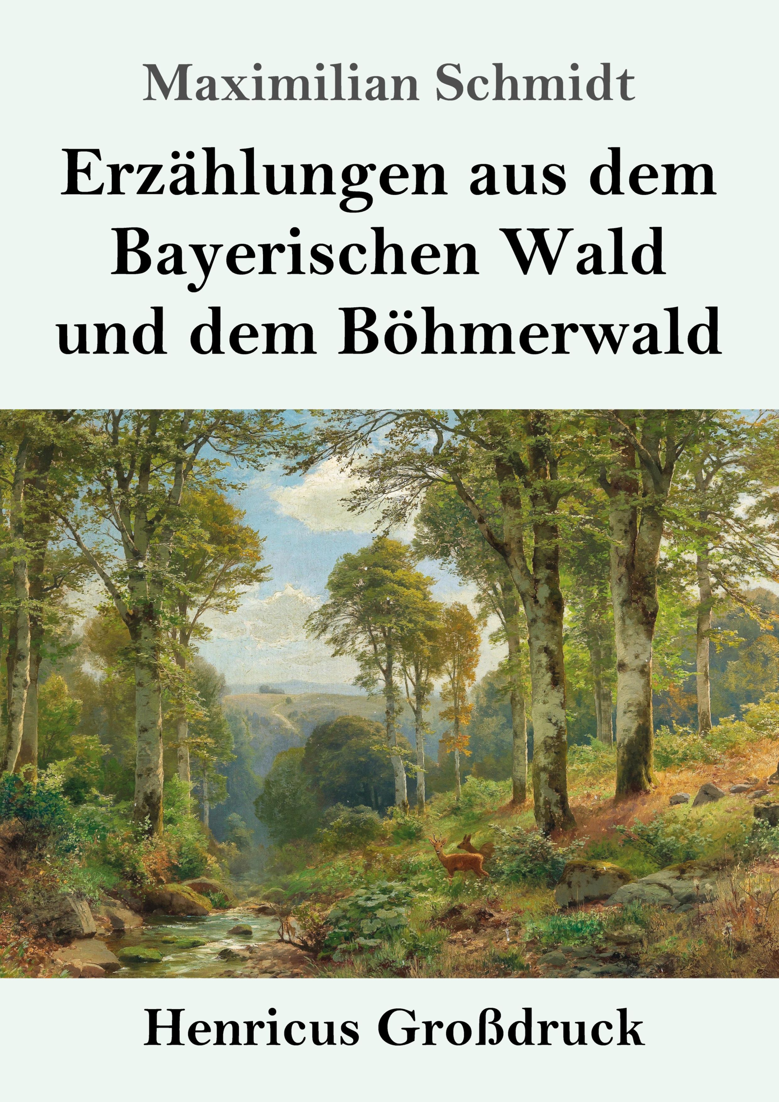 Vorderes Coverbild Erzählungen aus dem Bayerischen Wald und dem Böhmerwald (Großdruck)