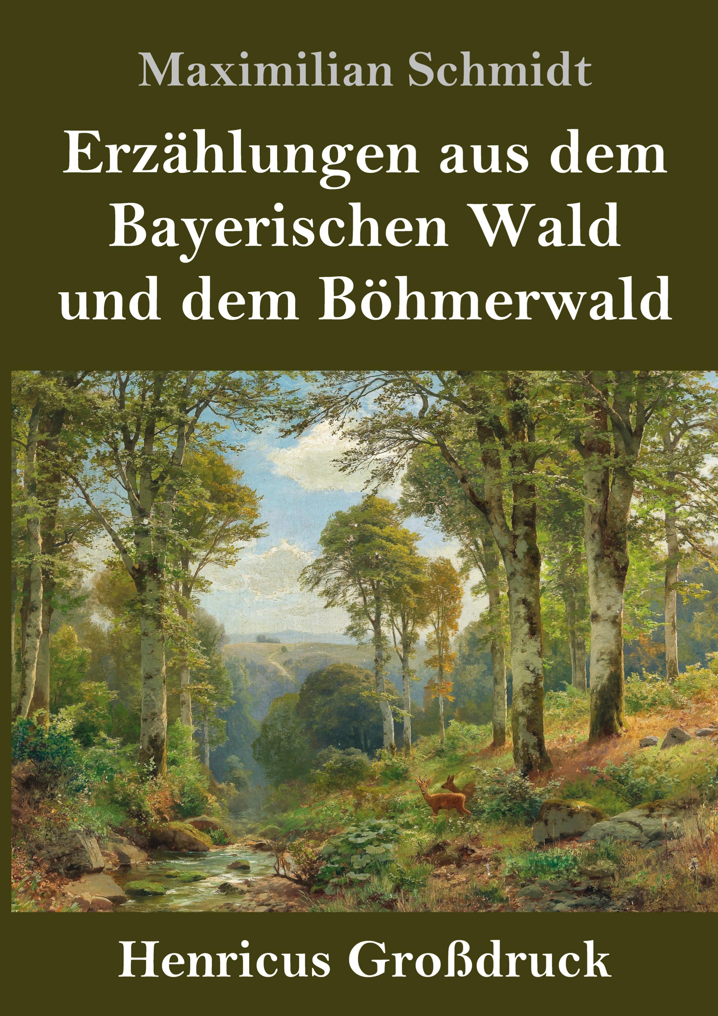 Vorderes Coverbild Erzählungen aus dem Bayerischen Wald und dem Böhmerwald (Großdruck)