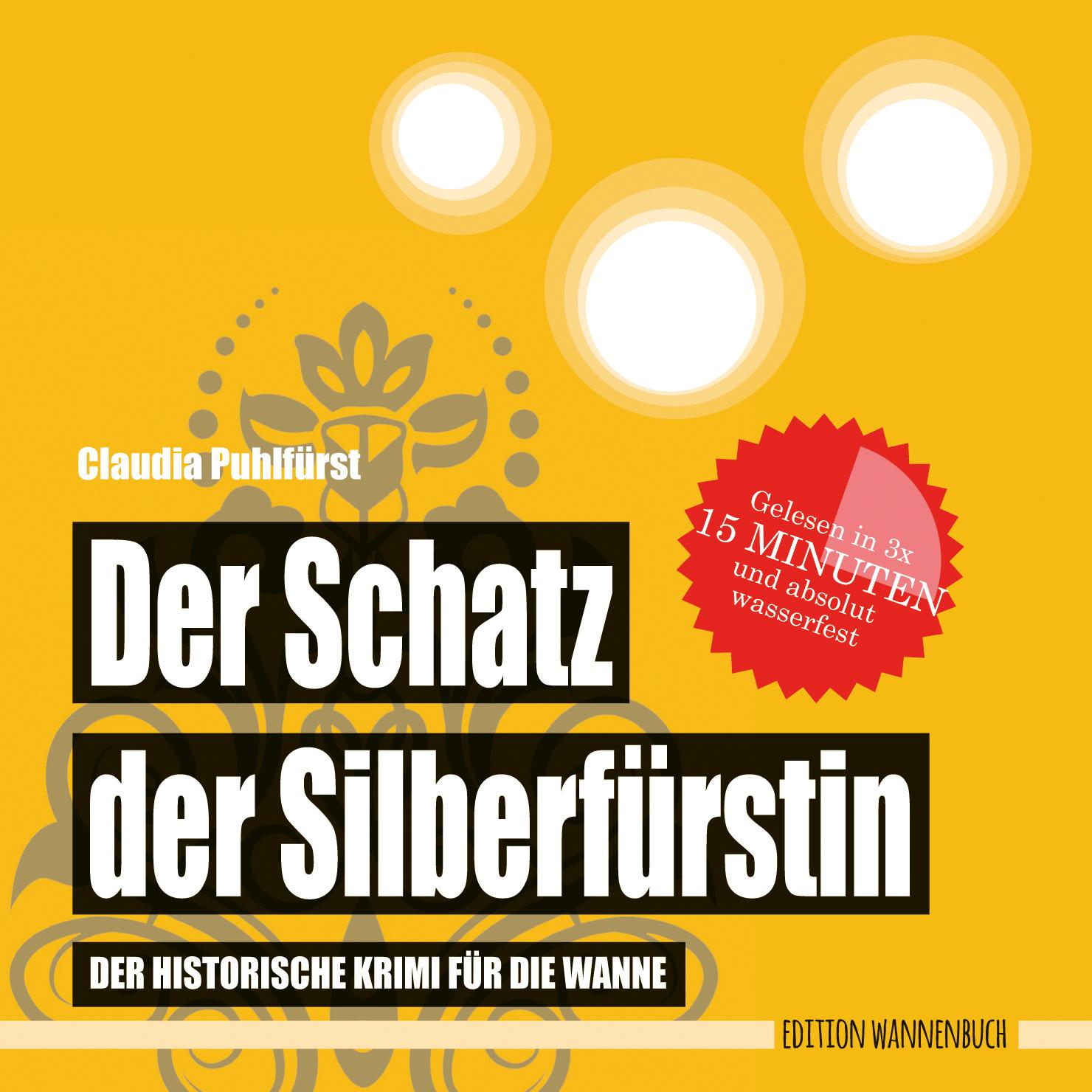 Vorderes Coverbild Der Schatz der Silberfürstin