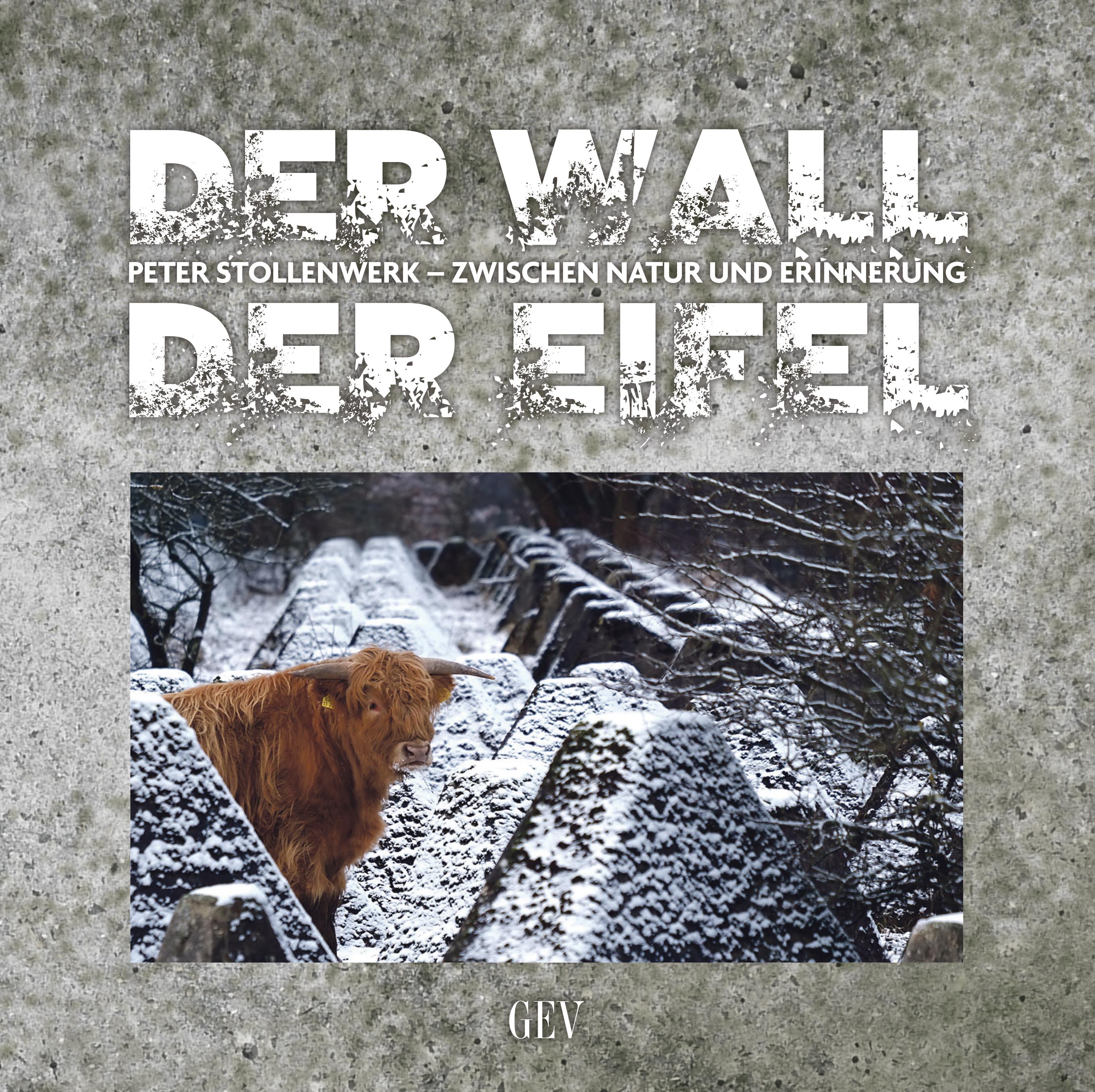 Vorderes Coverbild Der Wall der Eifel