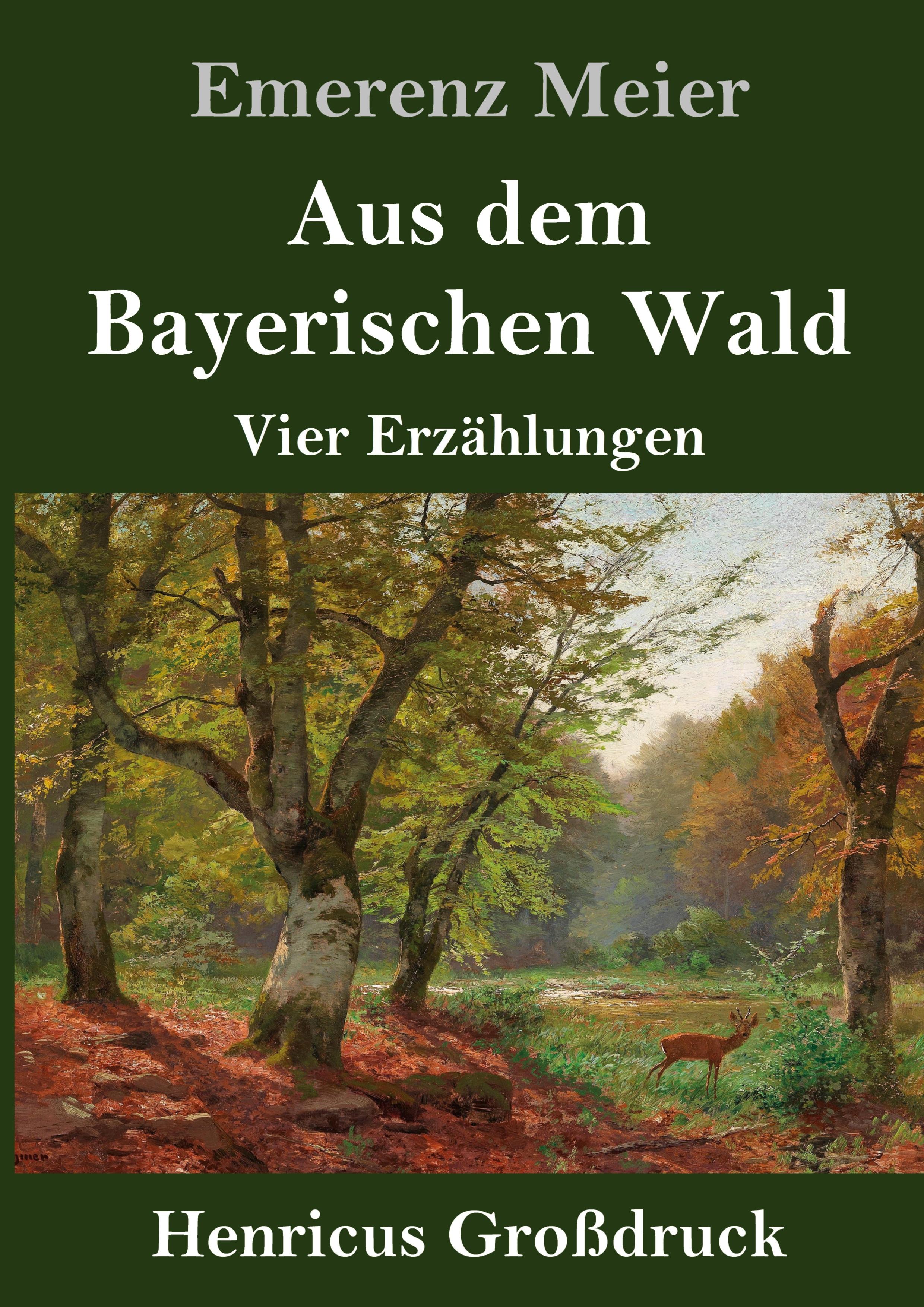 Vorderes Coverbild Aus dem Bayerischen Wald (Großdruck)