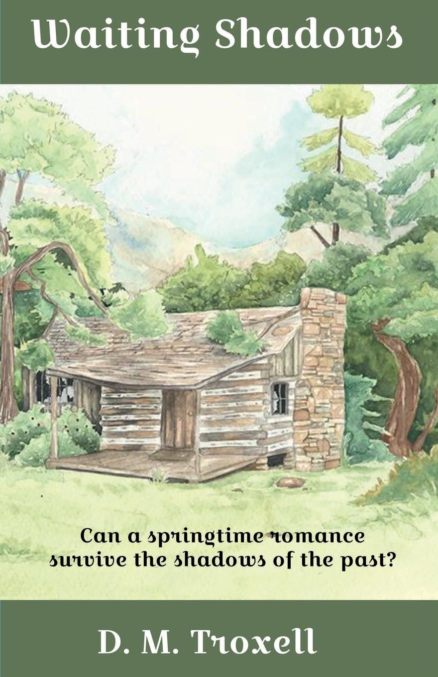 Vorderes Coverbild Waiting Shadows