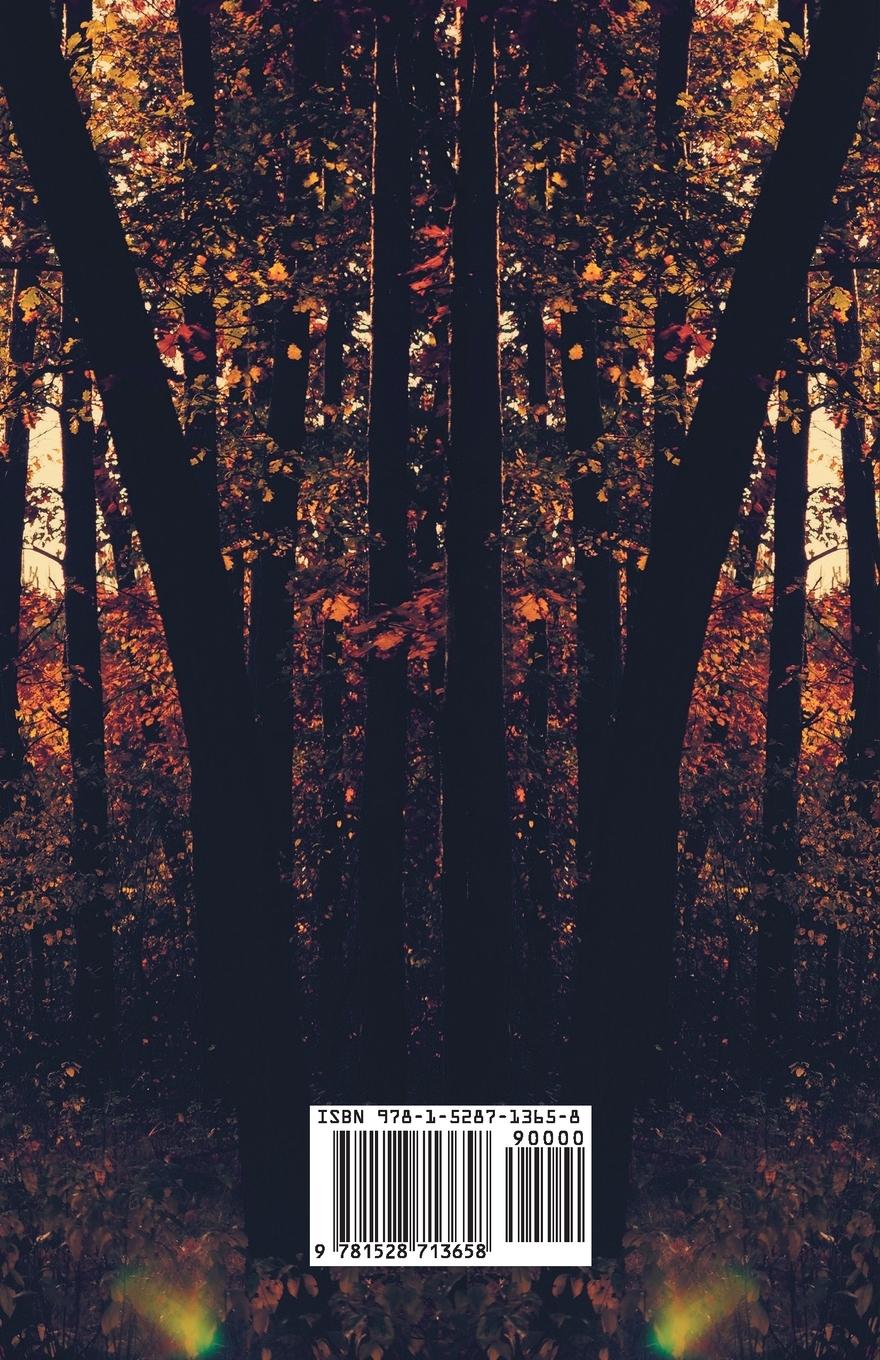 Rückseitencover Byways of Blessedness