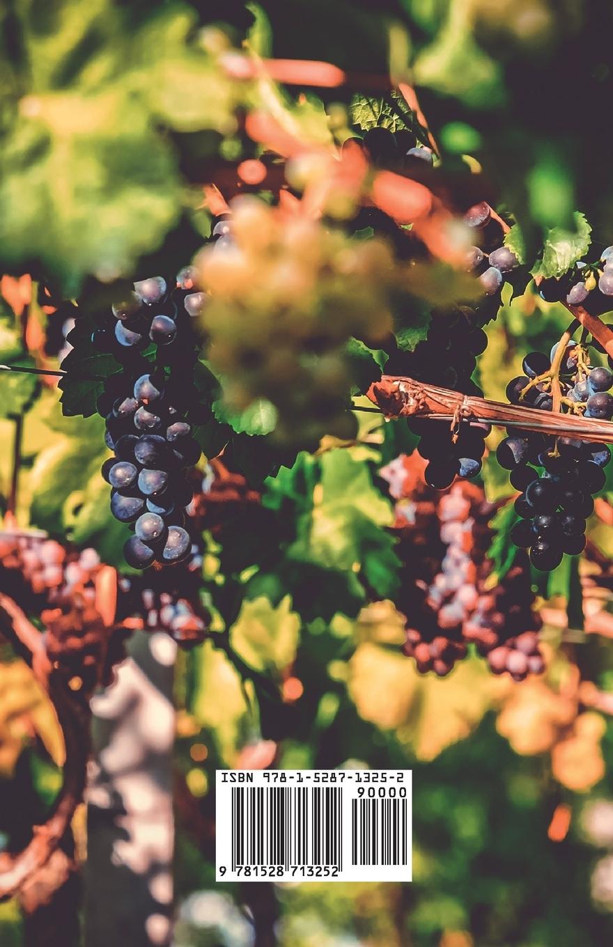 Rückseitencover The Phylloxera of the Vine