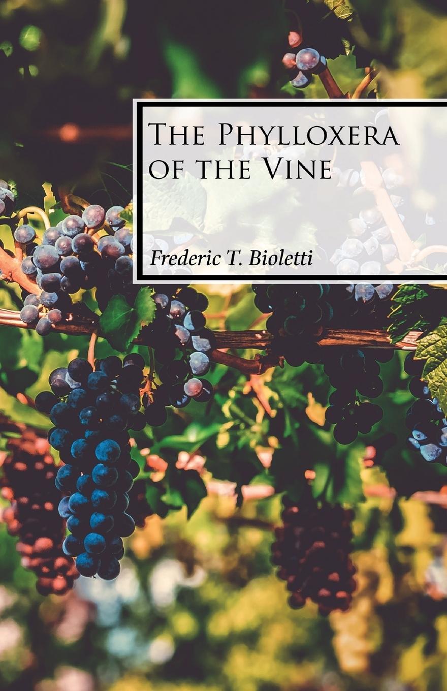 Vorderes Coverbild The Phylloxera of the Vine