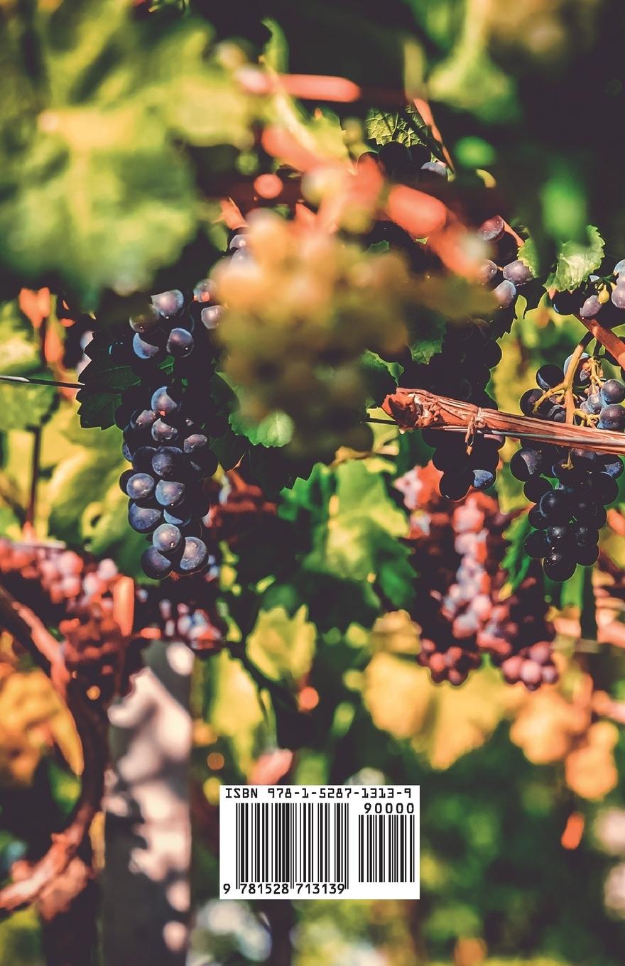 Rückseitencover The Basis of Grape Standardization