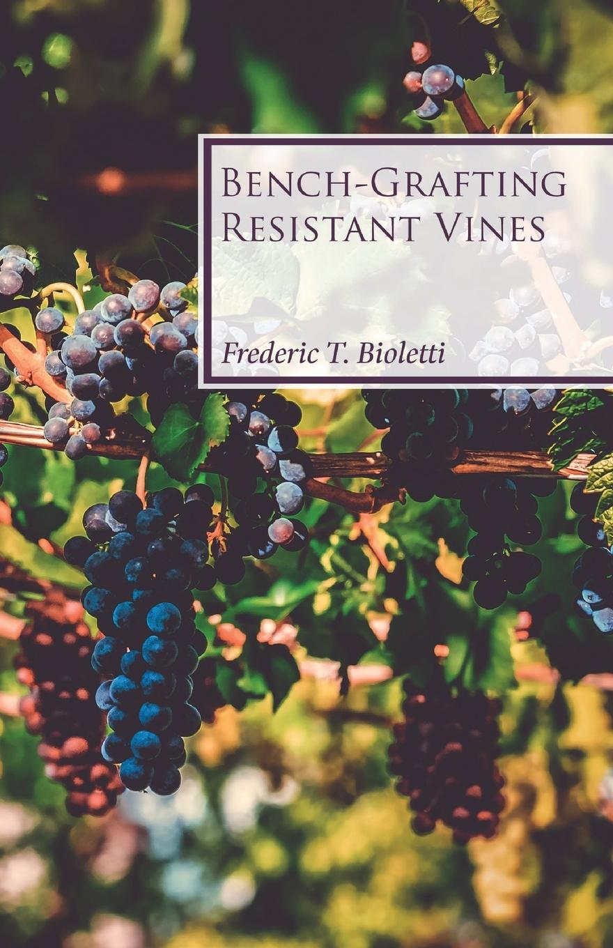 Vorderes Coverbild Bench-Grafting Resistant Vines
