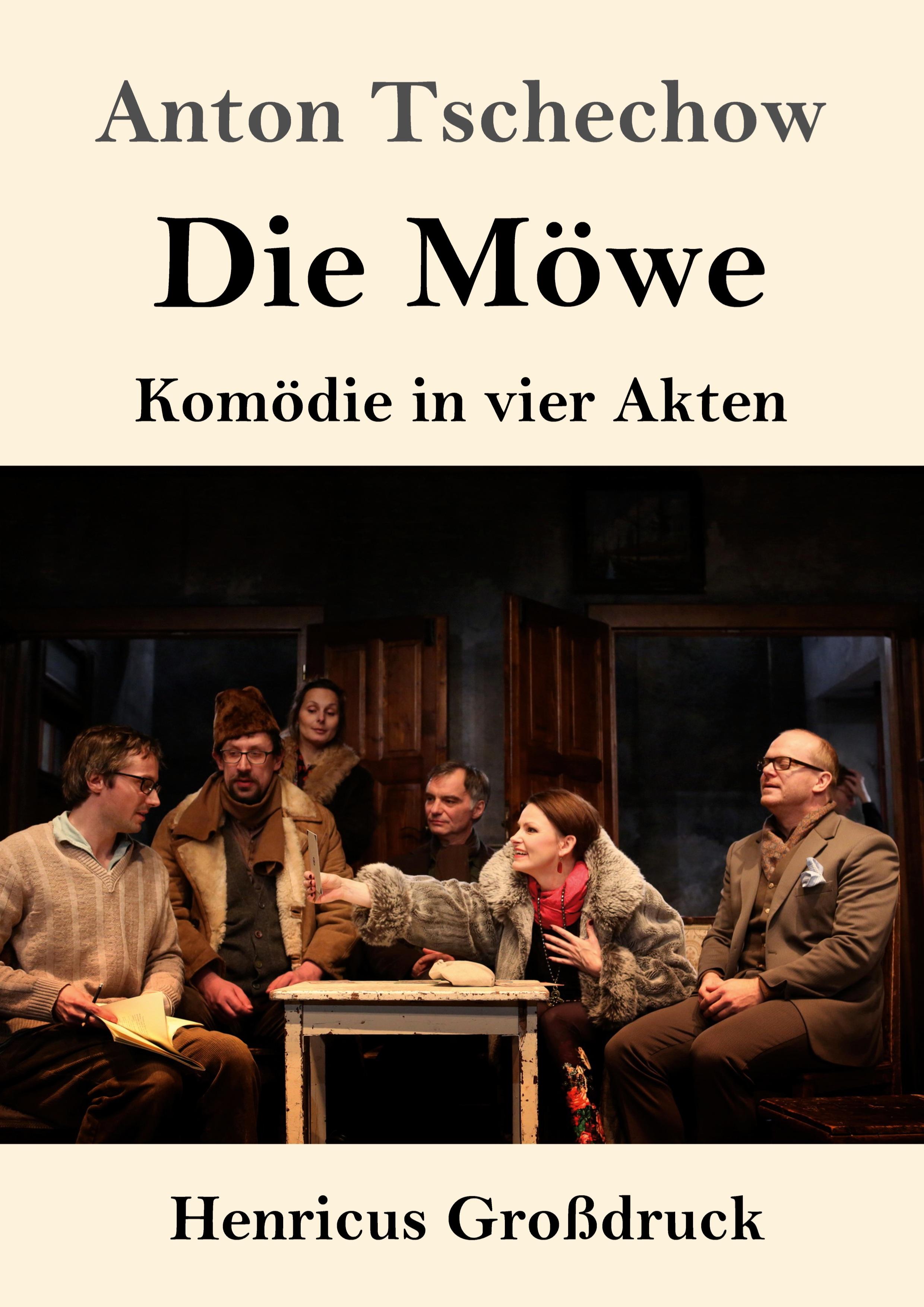 Vorderes Coverbild Die Möwe (Großdruck)