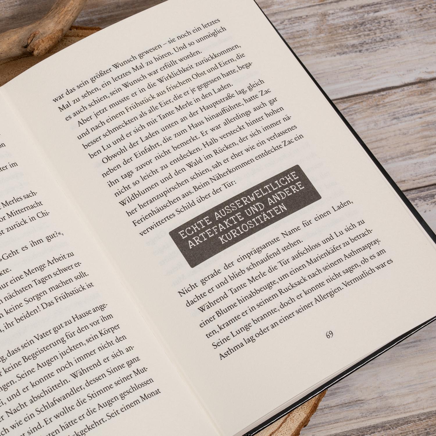 Beispielinhalt (Bild) Der Fluch des Phönix