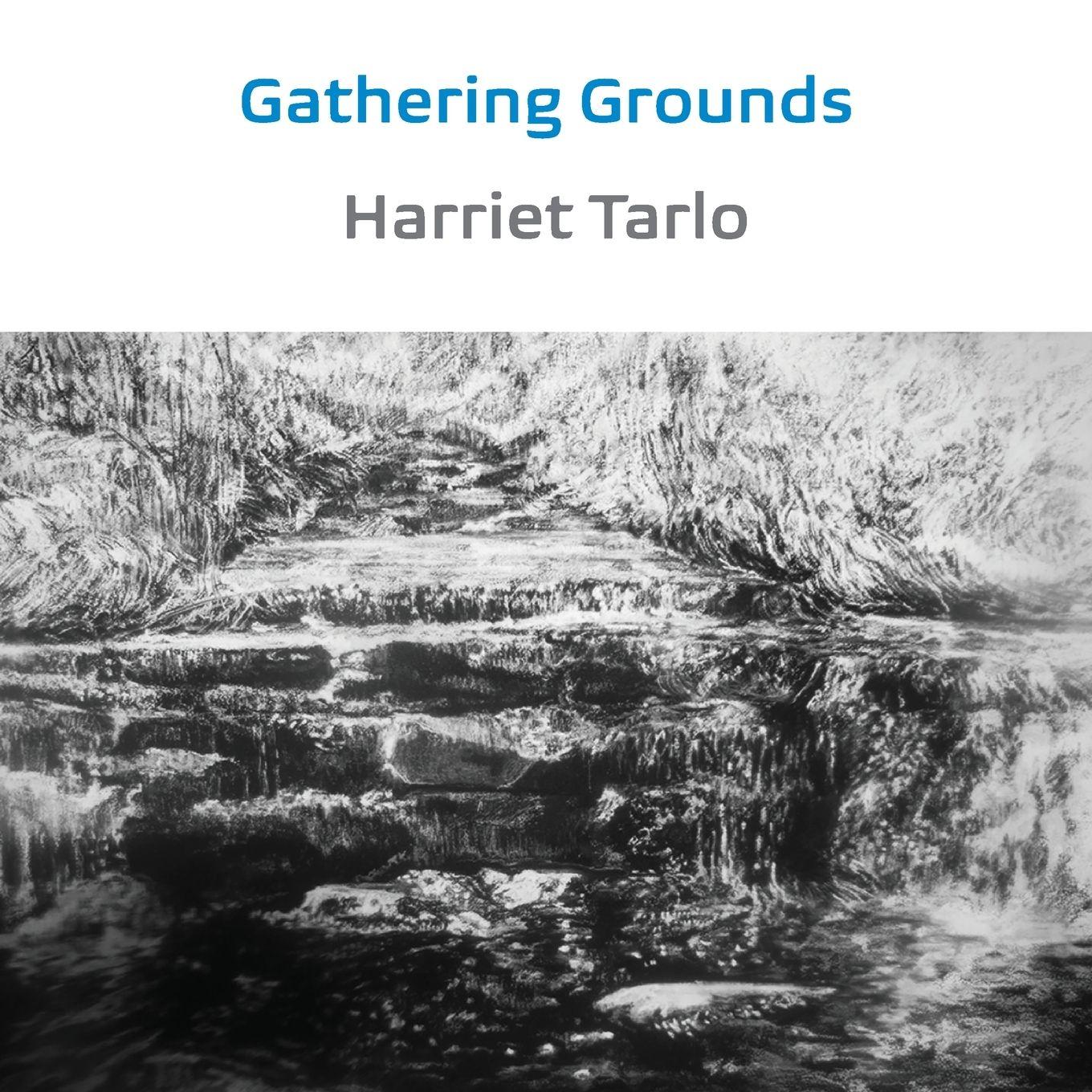Vorderes Coverbild Gathering Grounds
