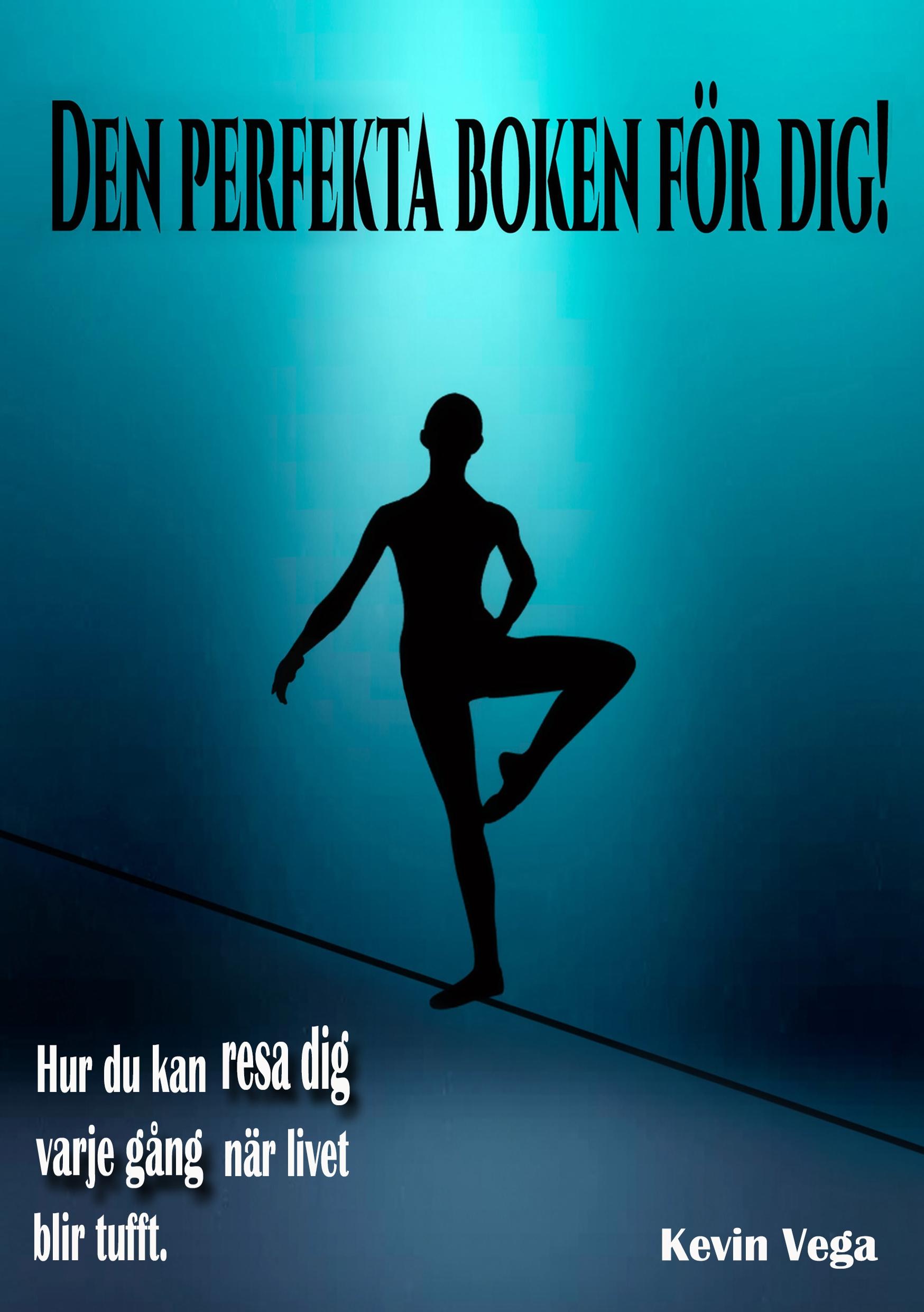 Vorderes Coverbild Den perfekta boken för dig!