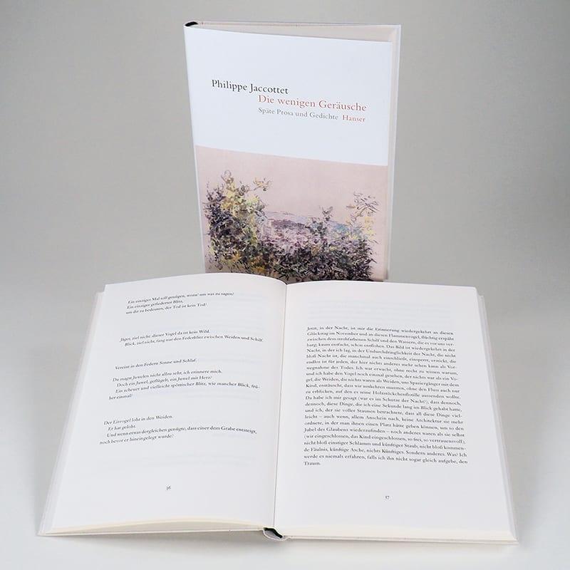 Beispielinhalt (Bild) Die wenigen Geräusche