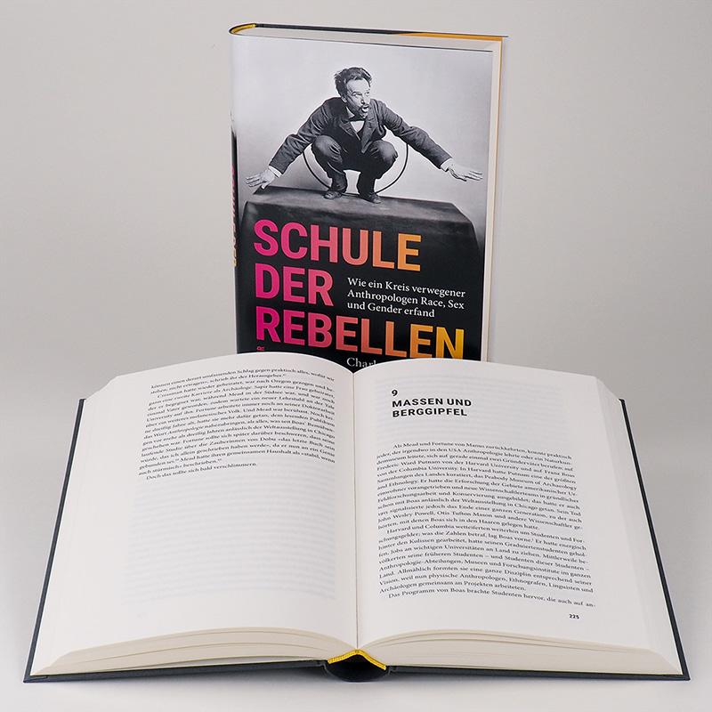 Beispielinhalt (Bild) Schule der Rebellen