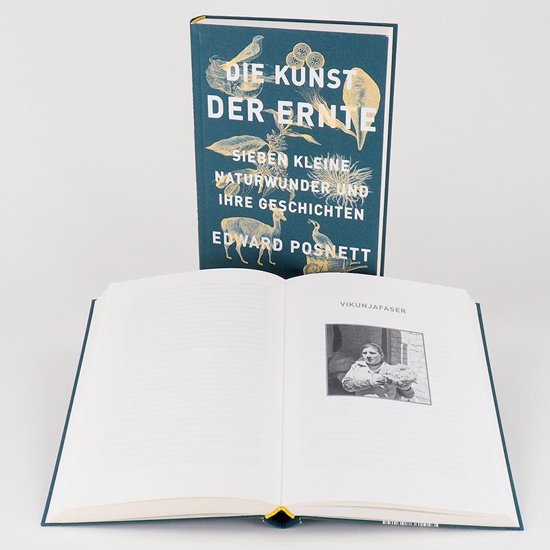 Beispielinhalt (Bild) Die Kunst der Ernte