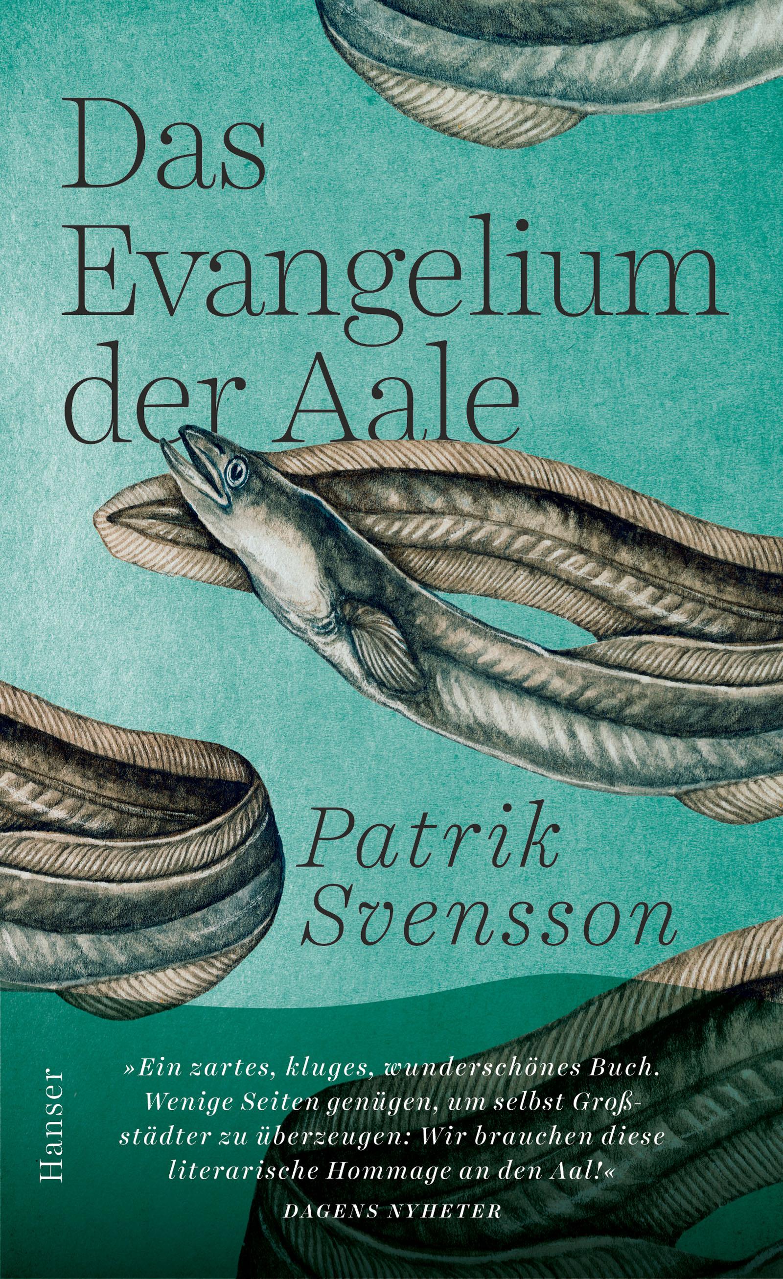 Vorderes Coverbild Das Evangelium der Aale