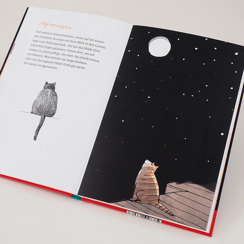 Beispielinhalt (Bild) Kater Liam