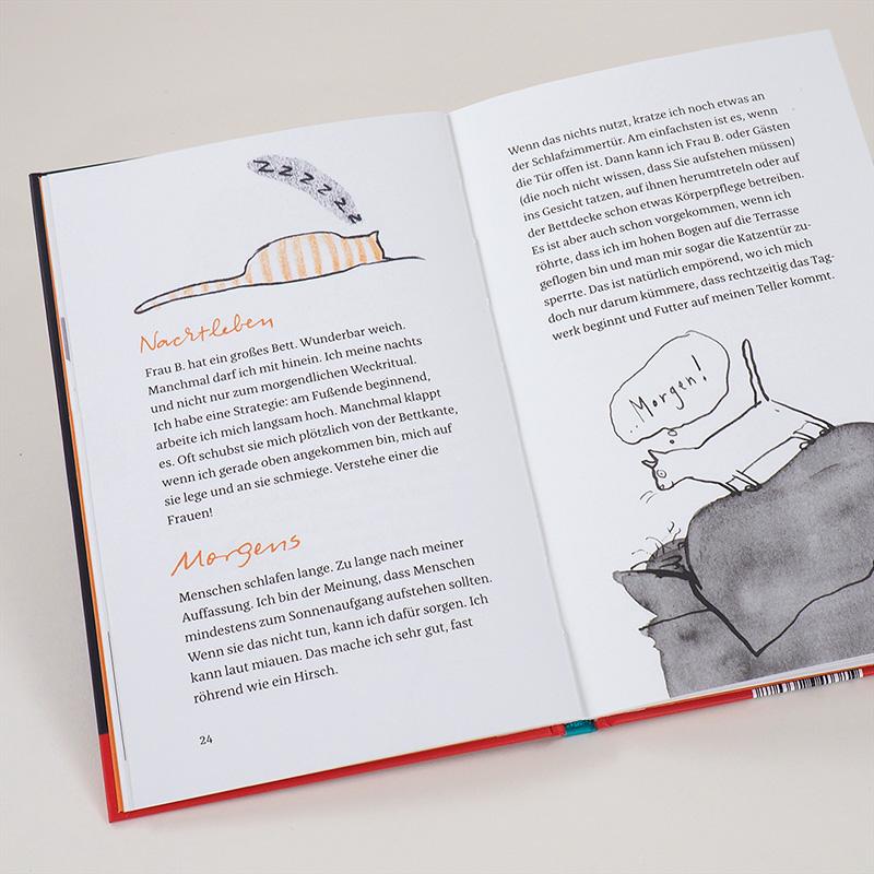 Beispielinhalt (Bild) Kater Liam