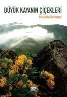 Vorderes Coverbild Büyük Kayanin Cicekleri