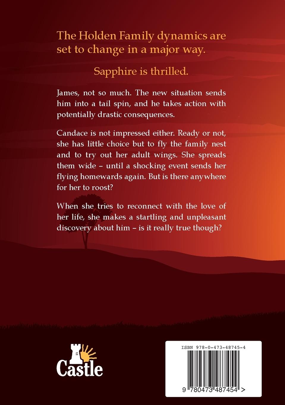 Rückseitencover Into the Sunset