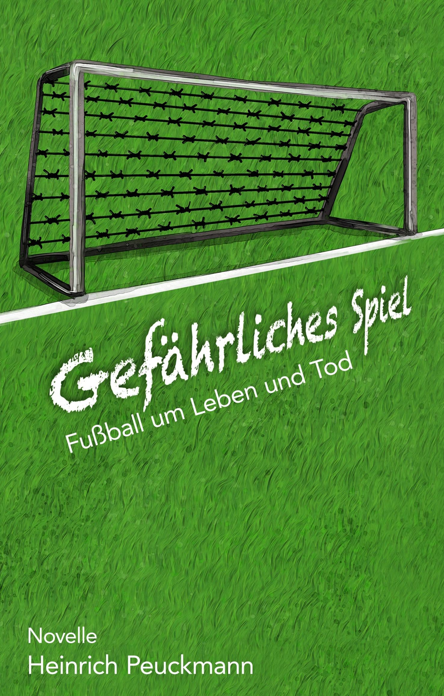 Vorderes Coverbild Gefährliches Spiel